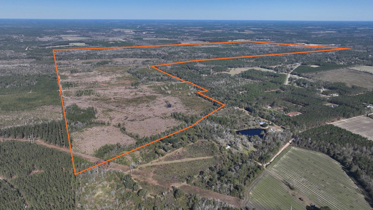 1,142 Acres In Ware County