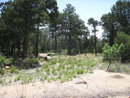 Photo of commercial space at 7 Blackbird Rd in Tijeras