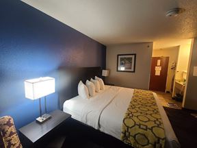 Baymont Inn & Suites By Wyndham Swanton/Toledo Airport
