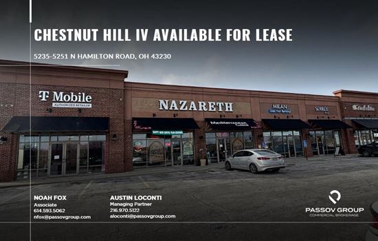 Chestnut Hill IV