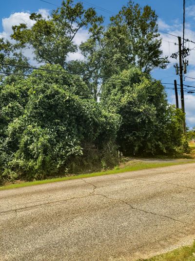 Cooper Creek Road