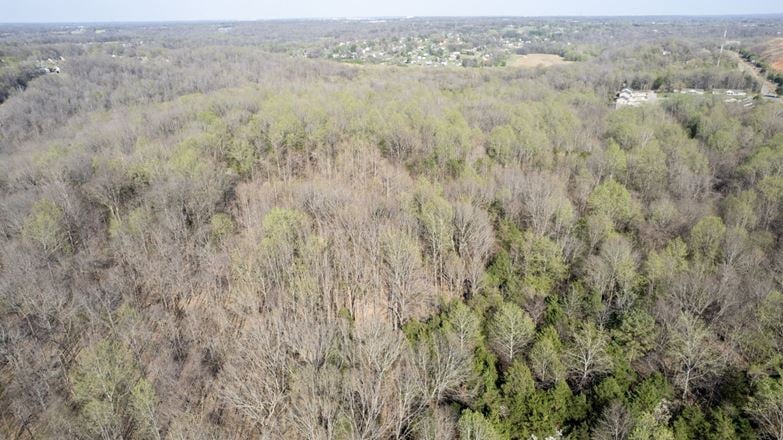 0 Beech St - 102.67 Acres