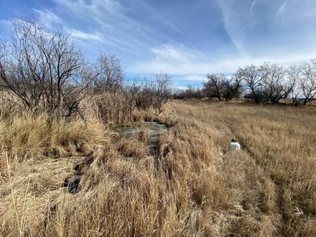 VacantLand space for Sale at 6419 Olive Branch Way in Billings