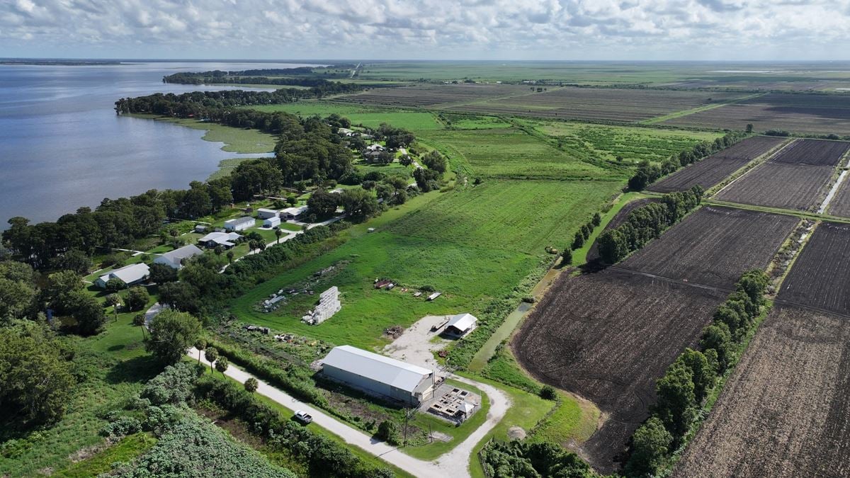 Lake Istokpoga Farmland