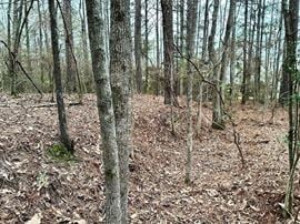 2881 Hwy 589
