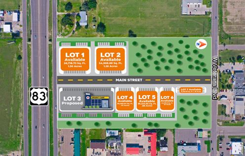 Development Land - Palmview, TX