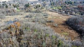 Development Land Parma Michigan