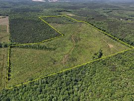 Longleaf Ridge