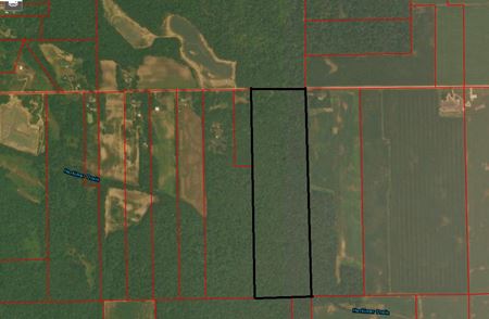 42 Wooded Acres for Sale - Milan - Milan