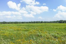TBD Hopes Creek Road - 40 Acres