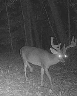 Cowpen Hunting Tract