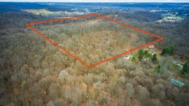 41.5 Acres Burch Drive NE