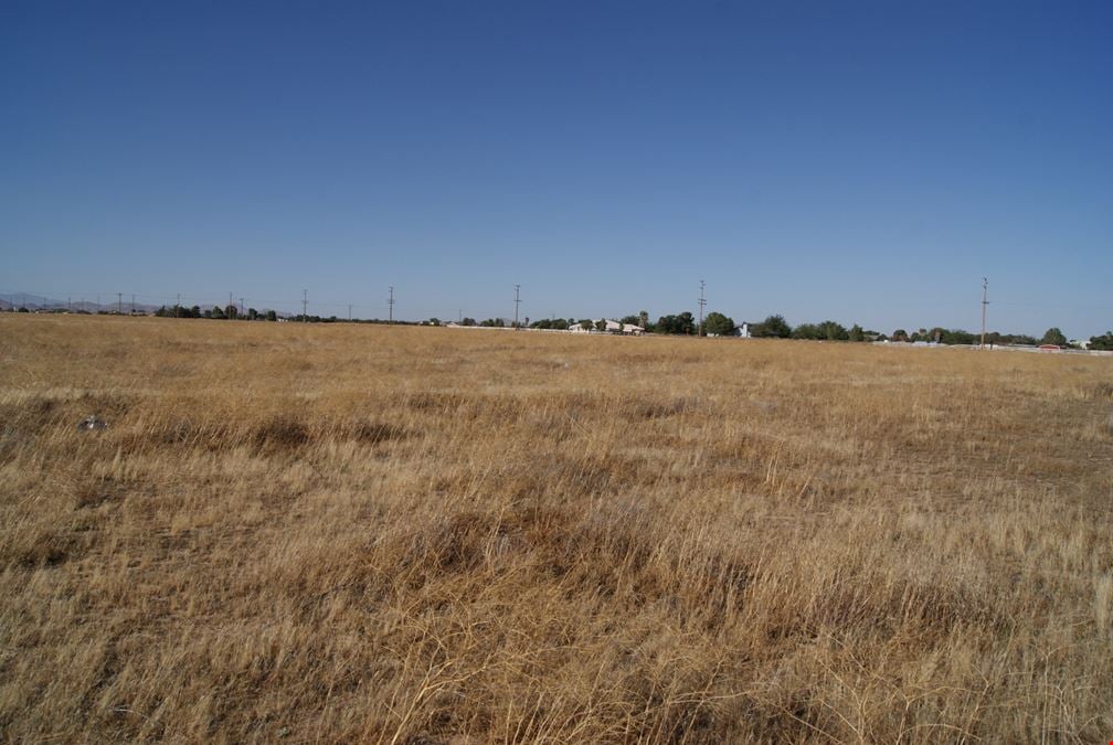 2.5 Acres Antelope Acres