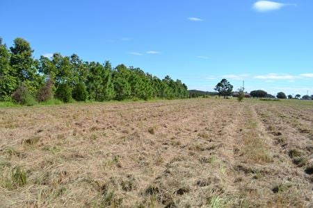 VacantLand space for Sale at Lake Buffum Road in Fort Meade