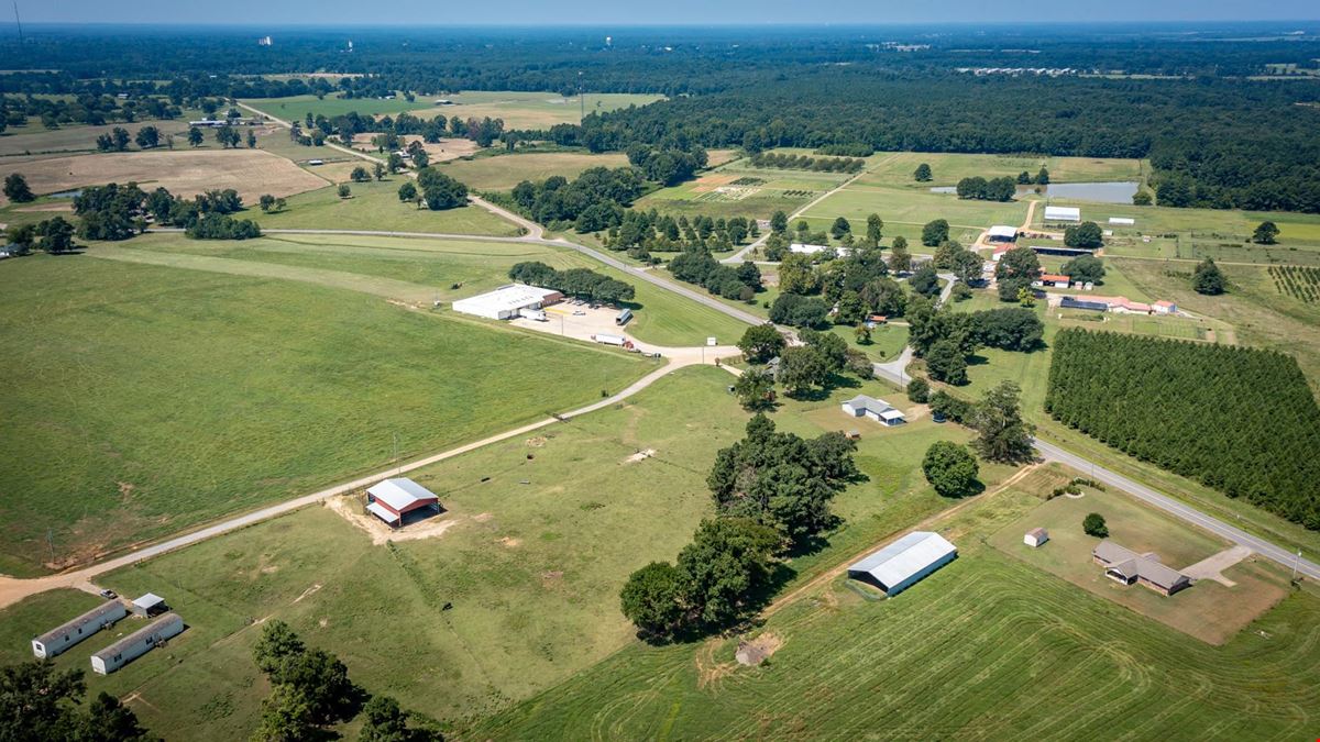 Hope Arkansas Chicken Farm