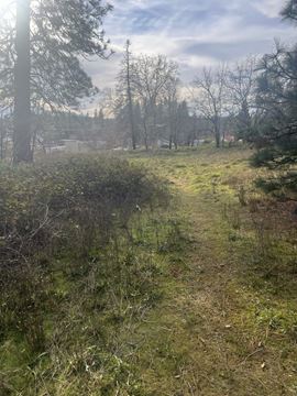Grass Valley Adams Lane Lot