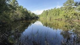 305.50 Acres Campbellton Land Development Opportunity