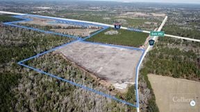 For Sale | 201.46 AC  Wellborn, FL