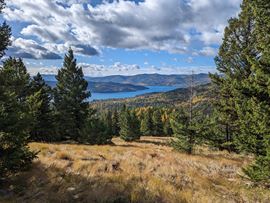40.00± AC Spring Hill Timber & Recreation Opportunity Near Kalispell
