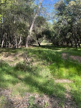 Diamond Springs Land