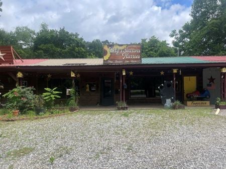 Other space for Sale at 64 Pappys Plaza in Blairsville