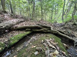 Goochland Land