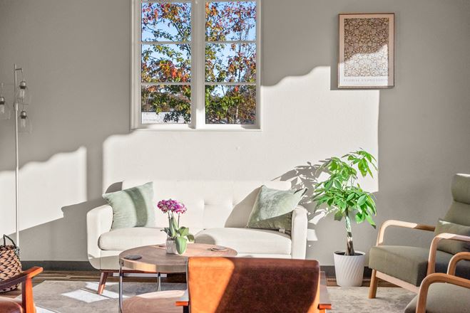 Modern Cowork - Toccoa