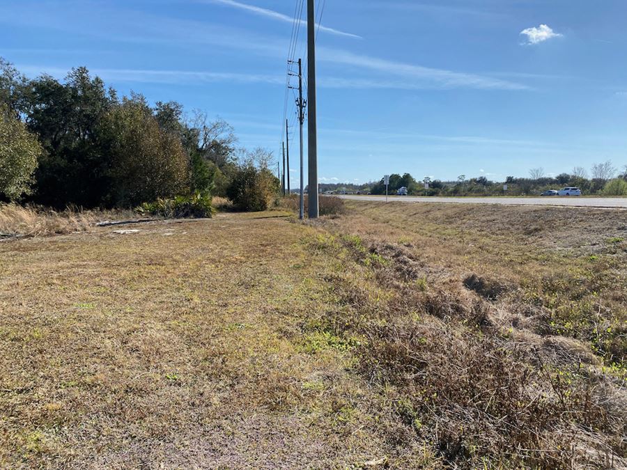 Odessa Land 13635 State Road 54, Odessa, FL VacantLand Space