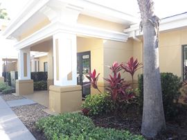 Magnolia Green 8