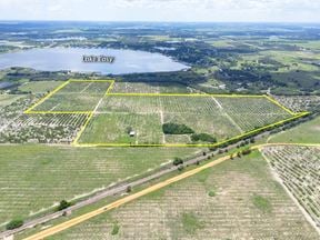 Underpass Road 74 ± Acre Land Opportunity