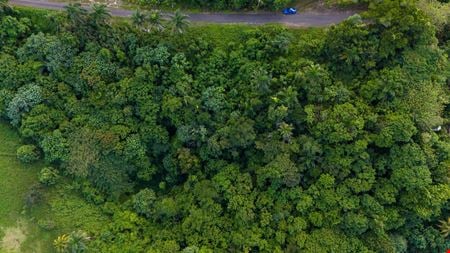 VacantLand space for Sale at SR 455 Km. 2.7 (Interior) Cibao Ward in San Sebastian