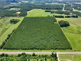 Edgefield Homesite