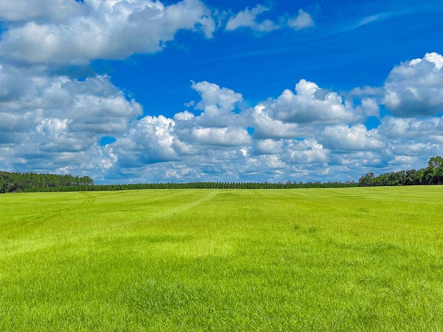 Silverstein Ranch