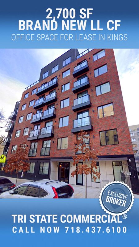 2,700 SF | 242 Newkirk Ave | Brand New LL CF/Office Space For Lease - Brooklyn