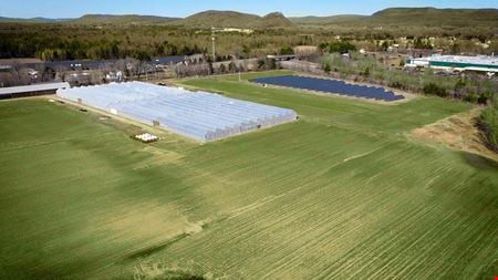 Fully licensed cannabis cultivation facility available for sale/lease via online auction in Whately, MA - Greenhouse 100,000 SF Canopy - Whately