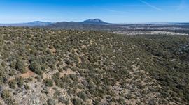 201 Pinon Trail