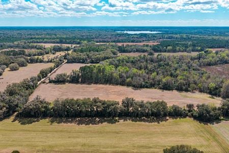VacantLand space for Sale at Tanner School Bus Road in Florahome