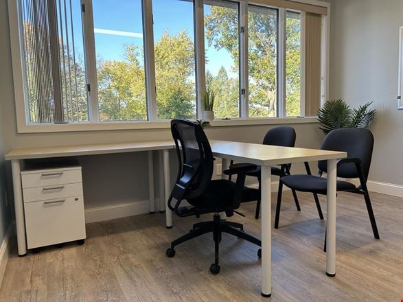 Suites 204
