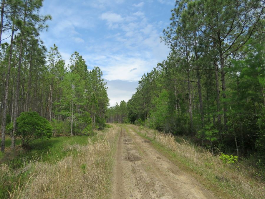 Otter Creek West Tract