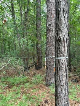 Land for Sale - Aaron Ln