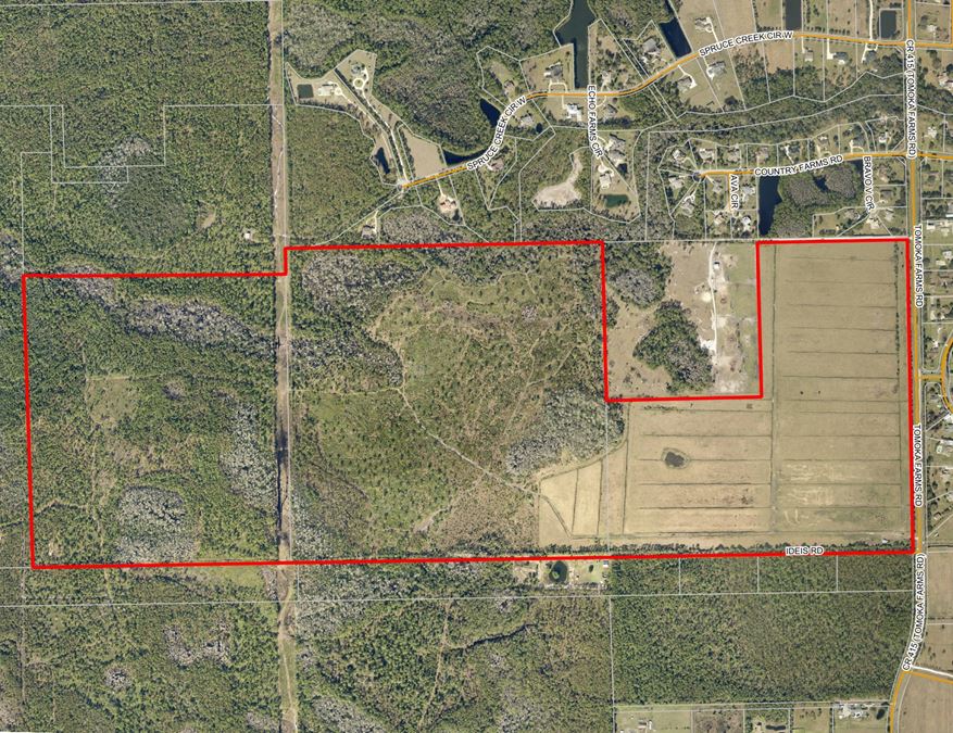 Tomoka Farms Road 411 ± Acres