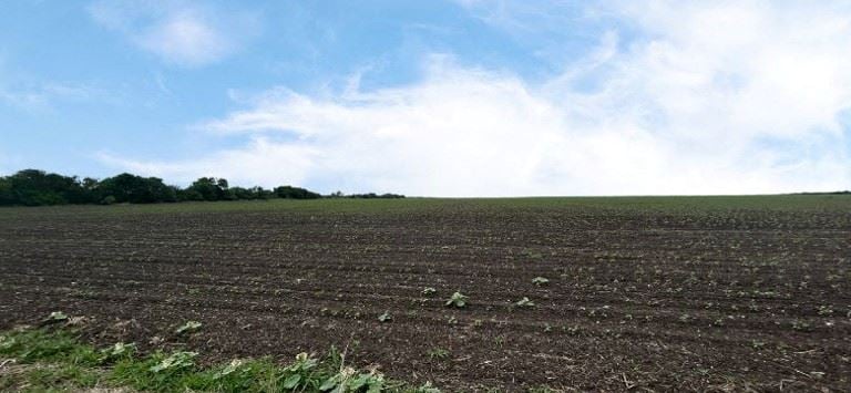 CR 48, 54.166 AC