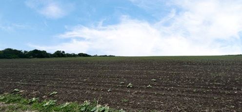 CR 48, 54.166 AC