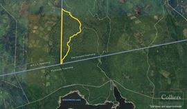 770± Acres of Undeveloped Forest