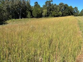 Development Land Tract