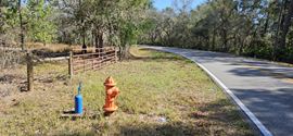 47± Scenic Wooded Acres with Trails, Wildlife, and Lake Access