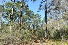 Hidden Lake Preserve