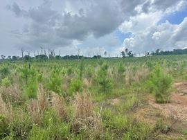 The Turner Tract