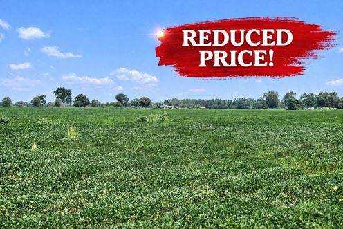 226 +/- Acre Investment Opportunity in Brewton, AL