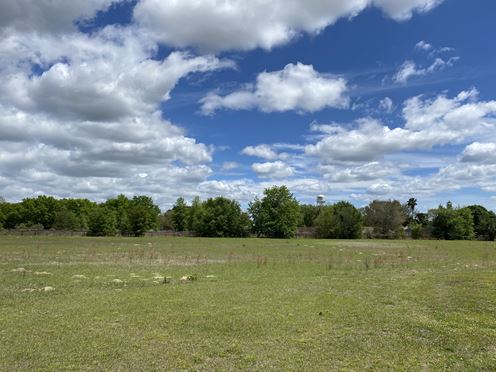 Pidgeon Park - Tract A-3
